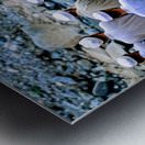 Muslim men pray outdoors in Pakistan facing Mecca Metal print