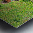 Life in Kalash Village in Bumburet Valley with river scene Impression metal