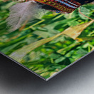 Life in kalash village of bumburet valley in pakistan Metal print