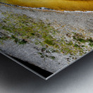 Yellowstone National Park features Beauty Pool in summer Metal print