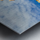 NP USA 00669 Metal print