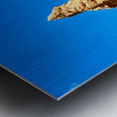 NP USA 00428 Metal print