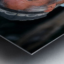 Elderly man smiles while sitting outdoors in Bukhara Uzbekistan Metal print