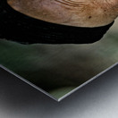 Elderly man with a beard in Bukhara Uzbekistan Metal print