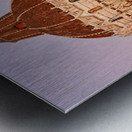 Pisa Tuscany landmarks at sunset in Square of Miracles Metal print