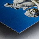 Leaning Tower and fountain in Piazza dei Miracoli in Pisa Metal print