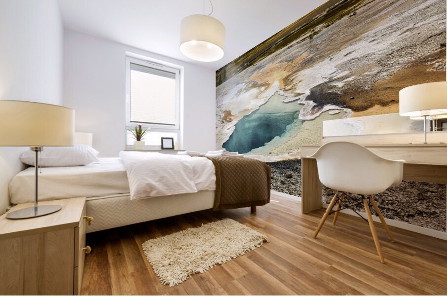 Depression Geyser. Yellowstone National Park. Wyoming. USA Mural print