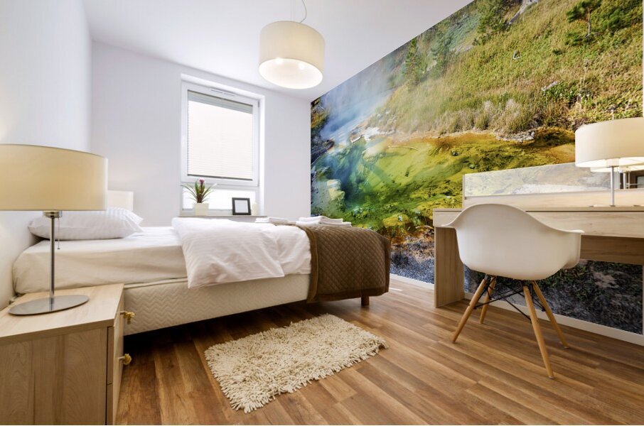 Seismograph Pool at the Yellowstone National Park. Wyoming. USA. Mural print