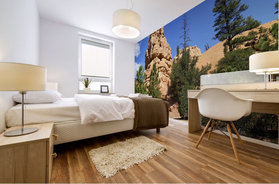 Hoodoohs at the Dixie National Forest. Utah. USA Mural print