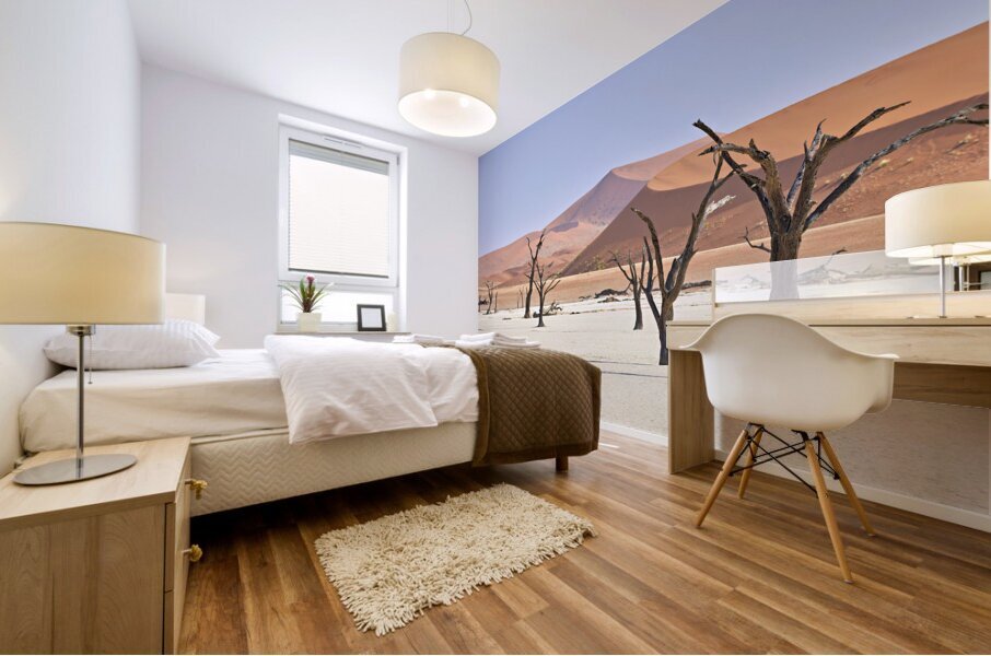 Namibia. Deadvlei clay pan. Namib Naukluft National Park. A dried out dead camel thorn Vachellia erioloba Mural print