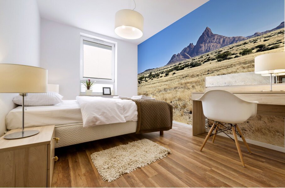 Namibia. Spizkoppe granite peaks in the Namib Desert Mural print