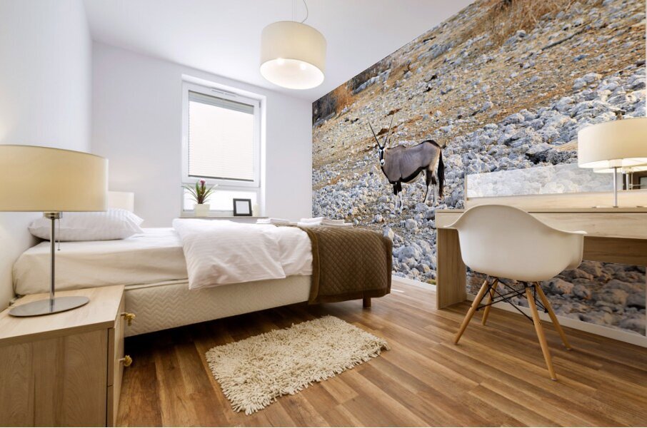 Namibia. Etosha National Park. A Gemsbok Oryx drinking at a waterhole Mural print