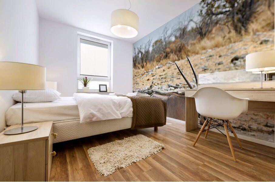 Namibia. Etosha National Park. Gemsbok Oryx Mural print