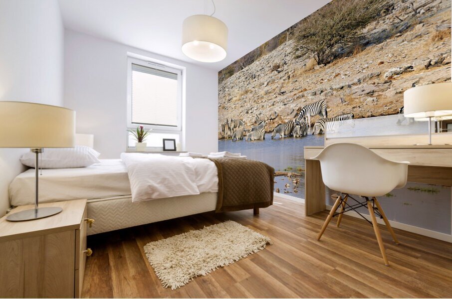 Namibia. Etosha National Park. Zebras drinking at a waterhole Mural print