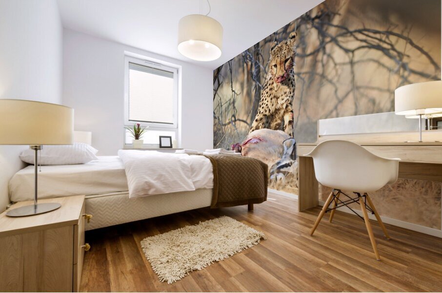 Namibia. Cheetah after a kill in Okonjima Reserve Mural print