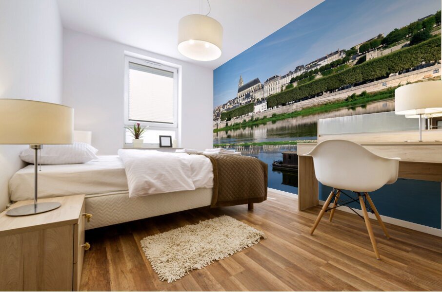 Blois France. Loire Valley. Cityscape Mural print