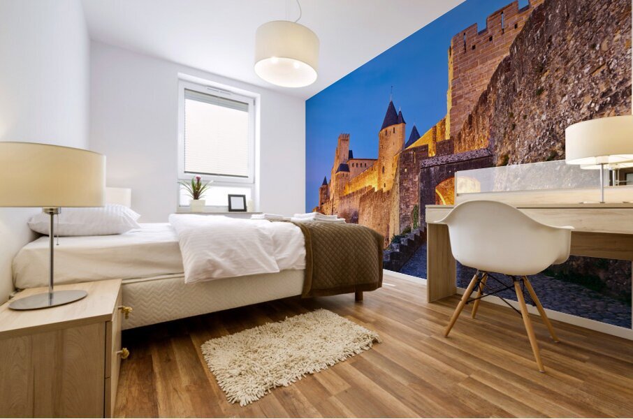 Carcassonne France Mural print