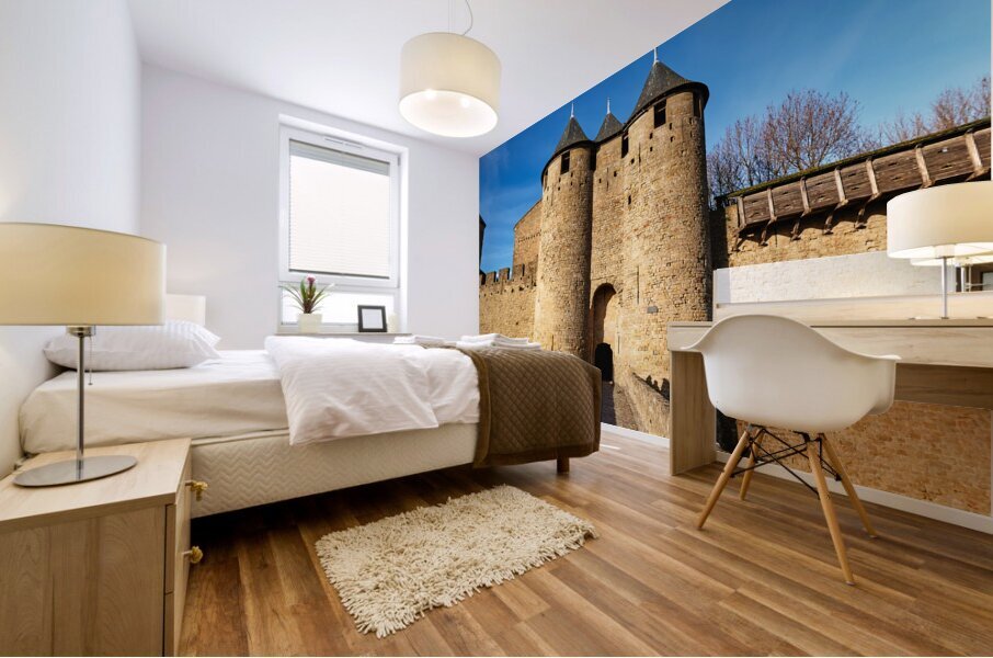 Carcassonne France Mural print