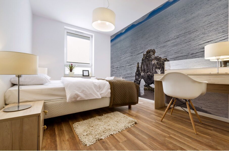 Hvítserkur is a 15 m high basalt stack along the eastern shore of the Vatnsnes peninsula in northwest Iceland Mural print