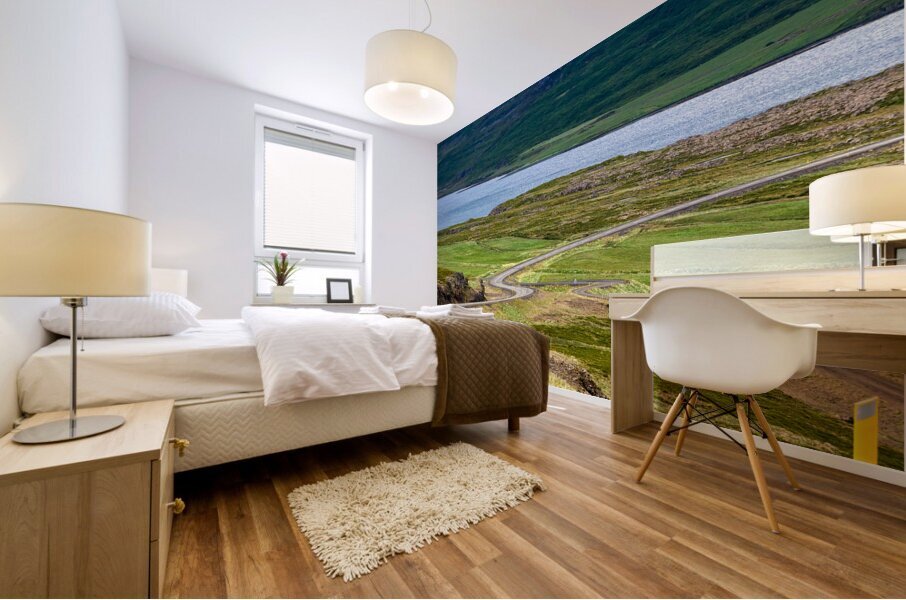 Winding road in Vatnsfjordhur. Iceland Mural print
