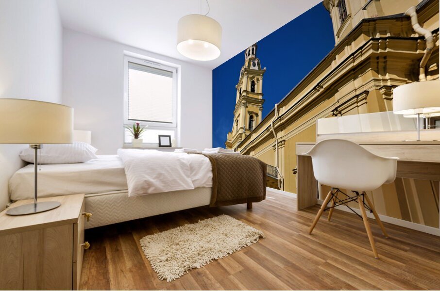 St. Petersburg Russia. Peter and Paul Cathedral at Peter and Paul Fortress Mural print