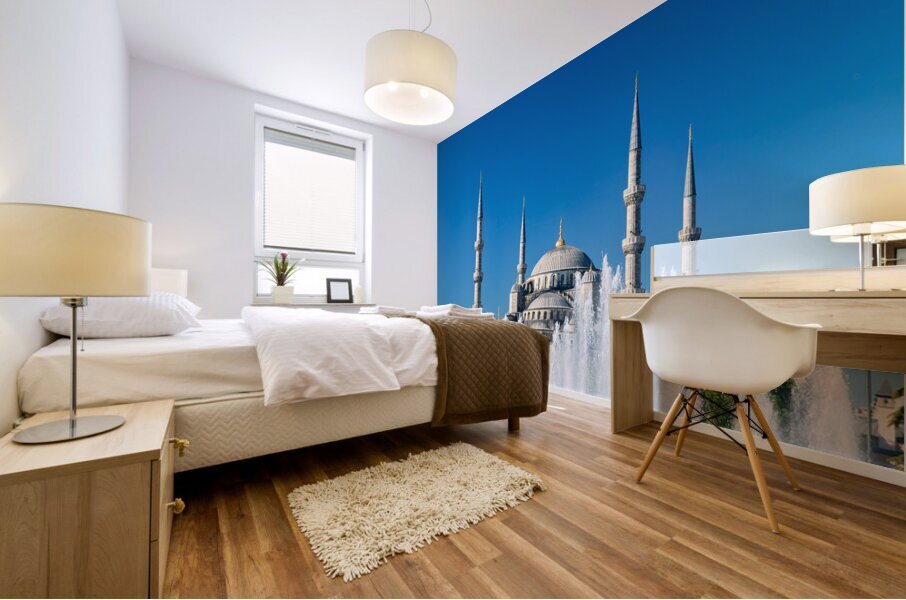 Istanbul Turkey. The Blue Mosque Mural print