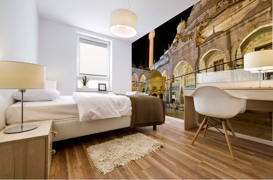 Istanbul Turkey. The Blue Mosque Mural print