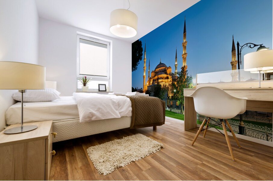 Istanbul Turkey. The Blue Mosque Mural print