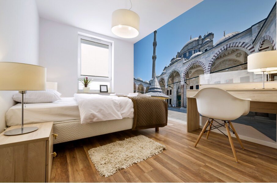 Istanbul Turkey. The Fatih Mosque Mural print