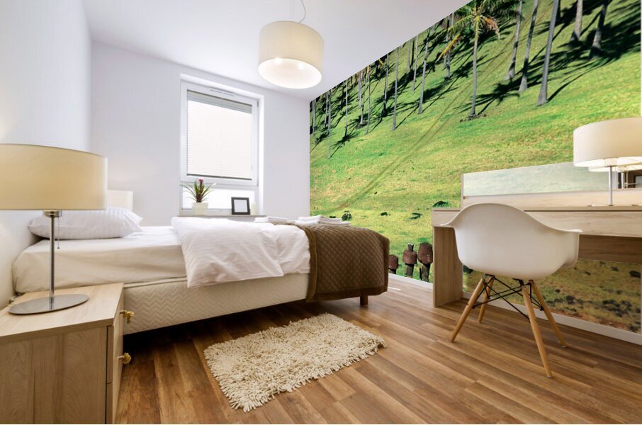 Moai statues at Easter Island Chile. Mural print