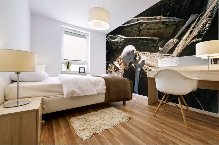 Pakistan. A Kalash cemetery in Bumburet valley Mural print