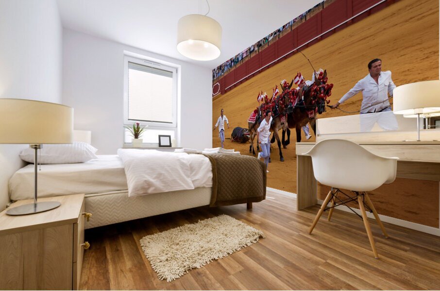 ANDALUSIA SPAIN. Bullfight in Seville Arena Mural print