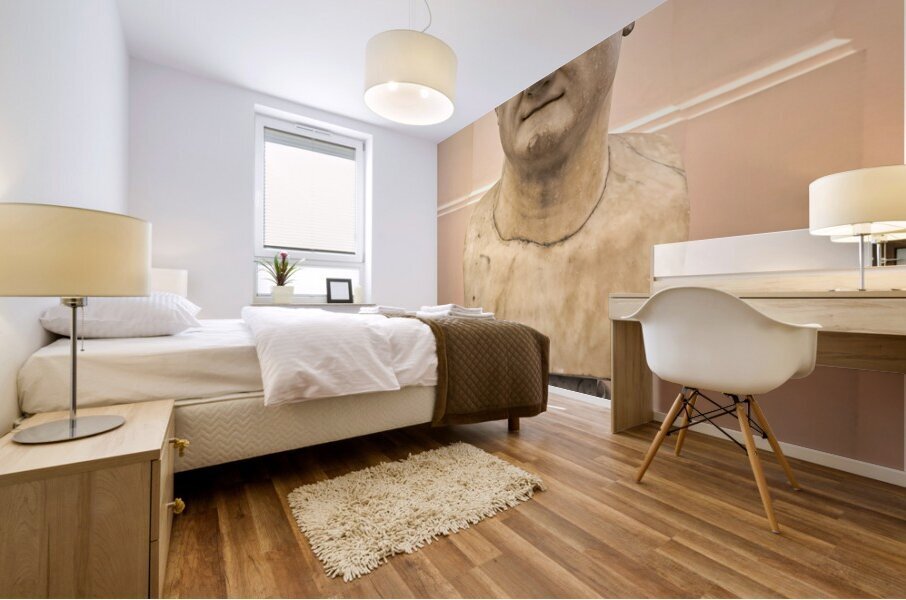 Naples Campania Italy. The National Archaeological Museum of Naples Museo Archeologico Nazionale di Napoli Mural print