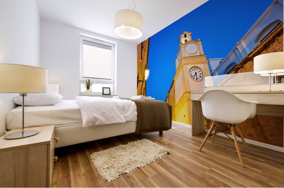 Salento. Apulia Puglia Italy. Gallipoli. The cathedral at night Mural print