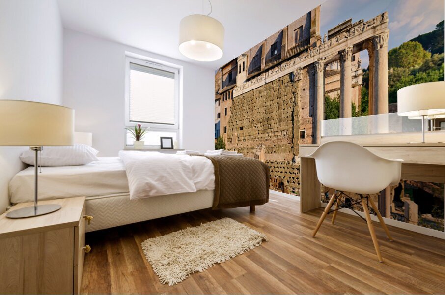 Rome Lazio Italy. The Roman Forum Mural print