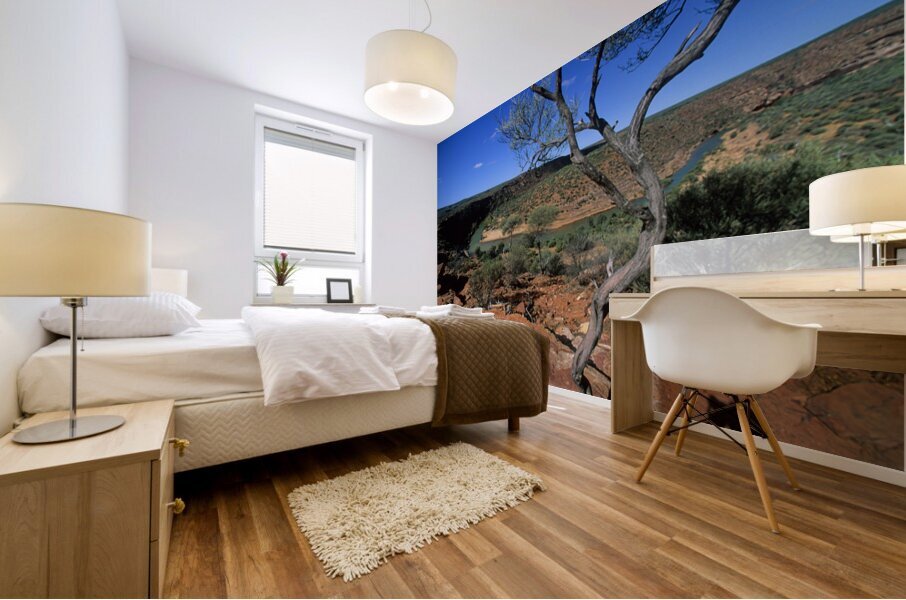 A gnarled tree overlooks a river in a vast canyon. Mural print