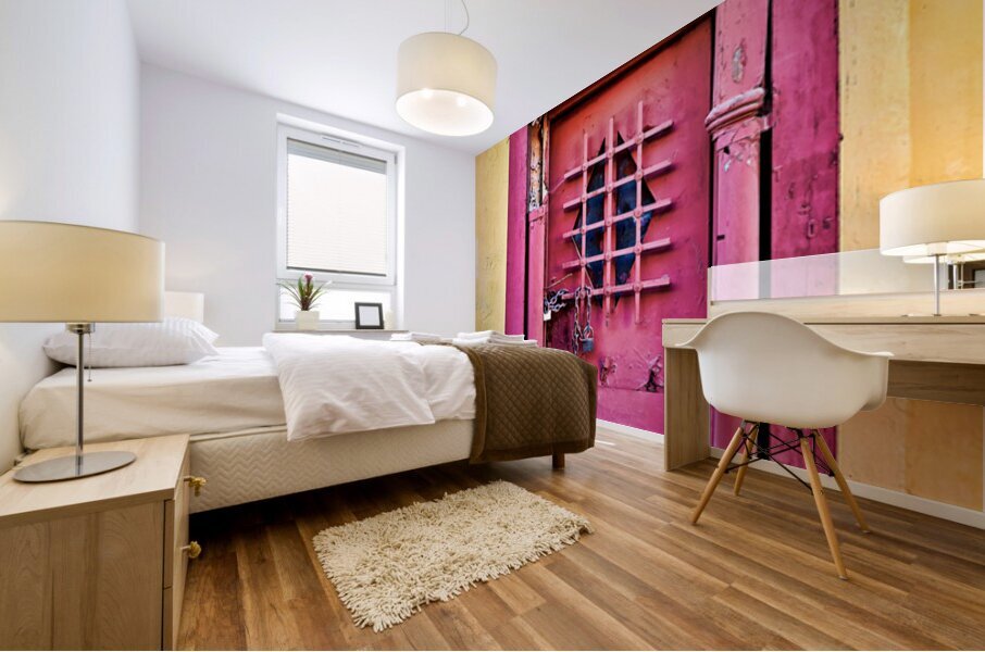 Old door in Anafiotika quarter of Athens Greece Mural print