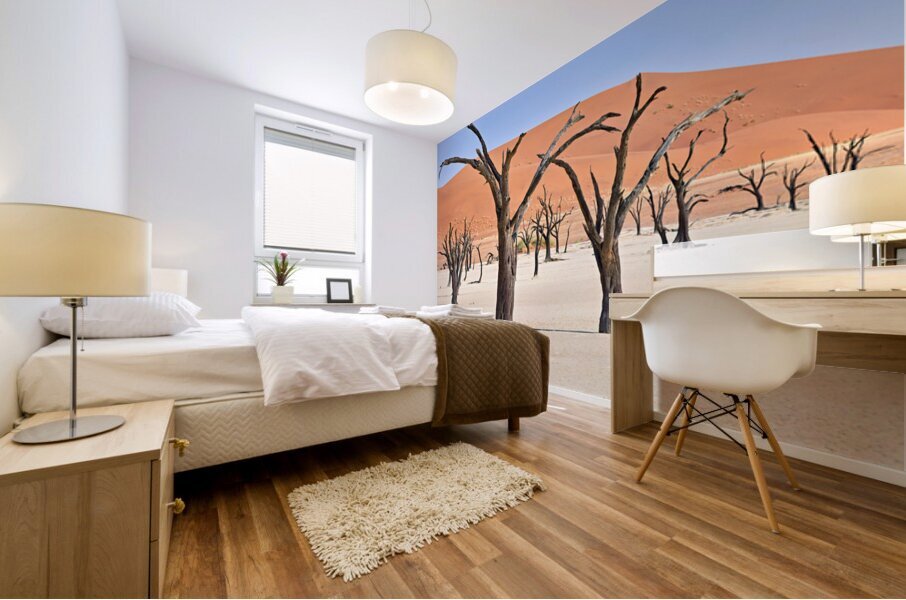 Dried camel thorn trees in Deadvlei pan in Namibia Mural print
