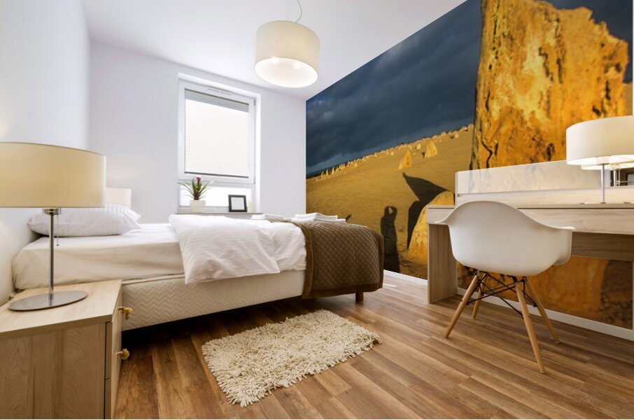 Photographers shadow falls on the Pinnacles desert at sunset. Mural print