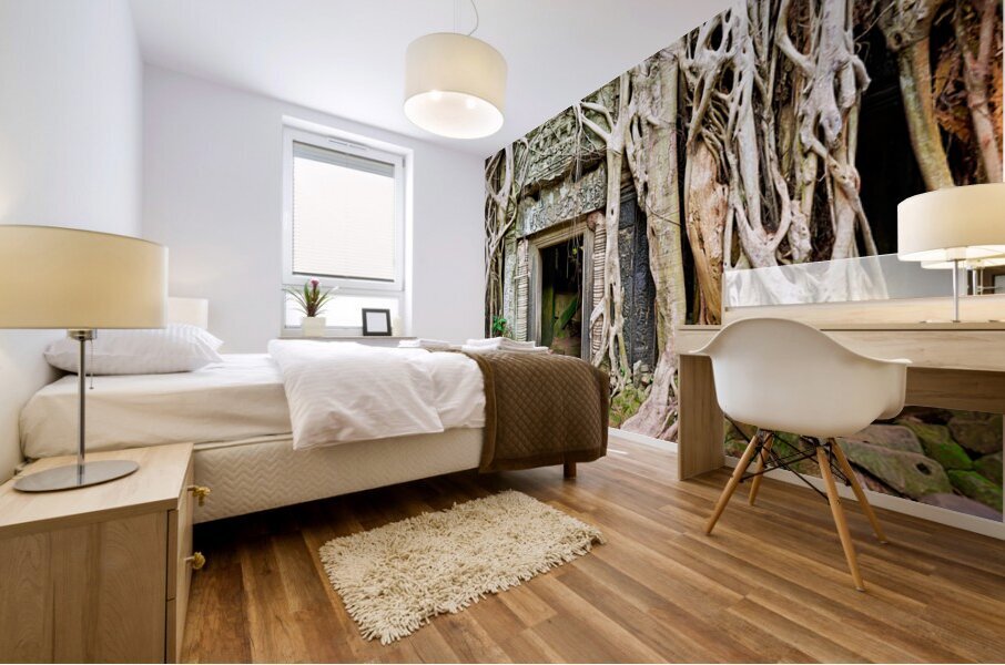 Ancient temple ruins consumed by massive tree roots. Mural print