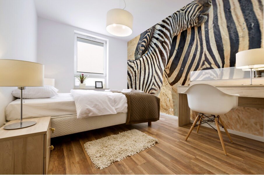 Zebras cuddle together in Etosha National Park in Namibia Mural print