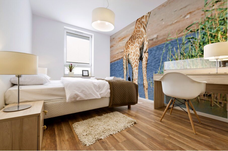 Giraffe drinks water at a waterhole in Etosha National Park Nami Mural print