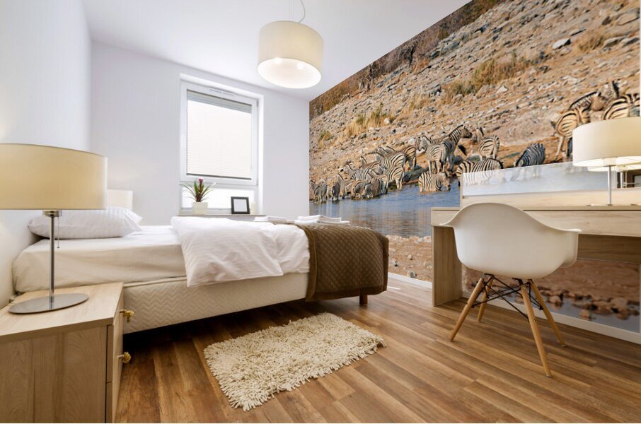 Zebras drink water at a waterhole in Etosha National Park Namibi Mural print