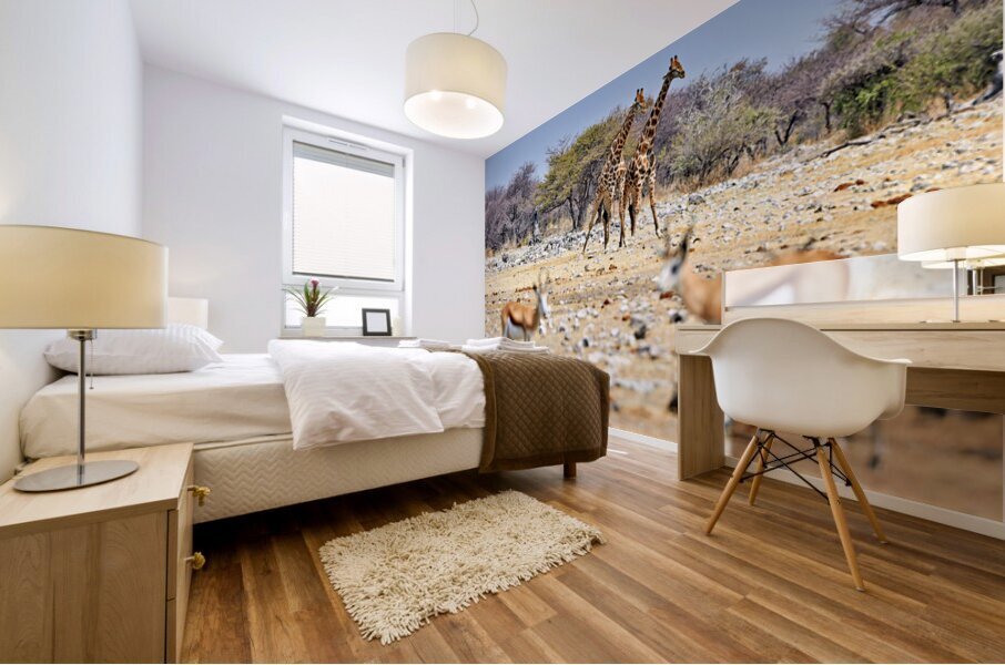 Giraffes and springboks in Etosha National Park Namibia Mural print