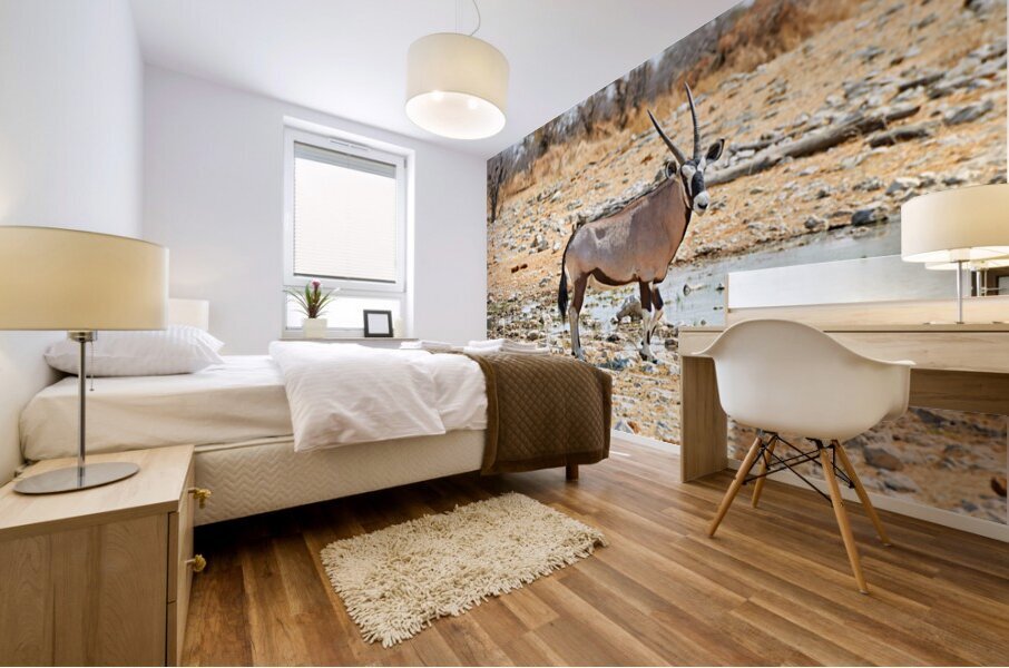 Gemsbok oryx drinking near water in Etosha National Park Namibi Mural print