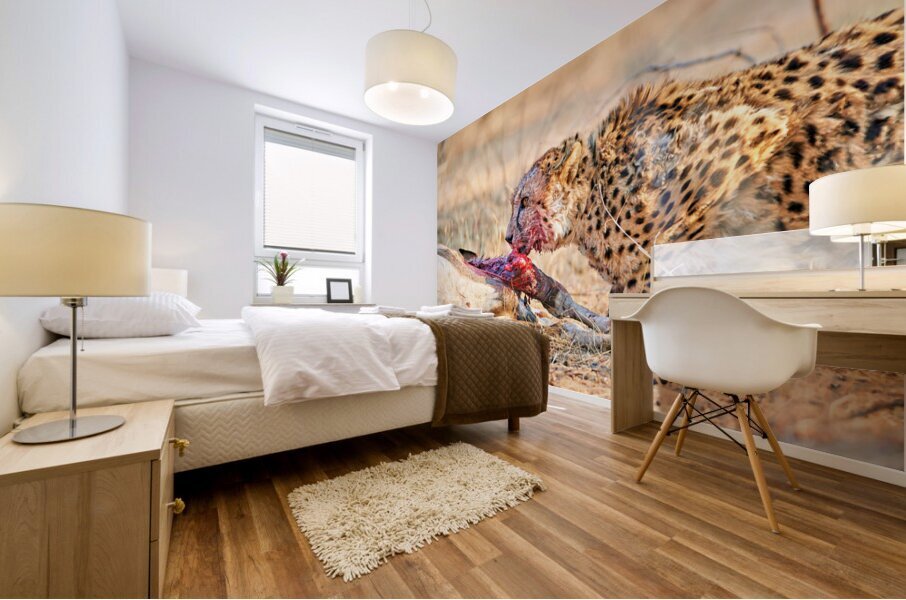 Cheetah feeding on prey in Okonjima Reserve Namibia Mural print