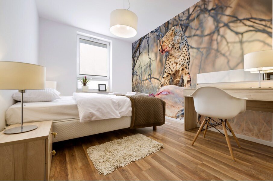 Cheetah feeds on prey in okonjima reserve in namibia Mural print