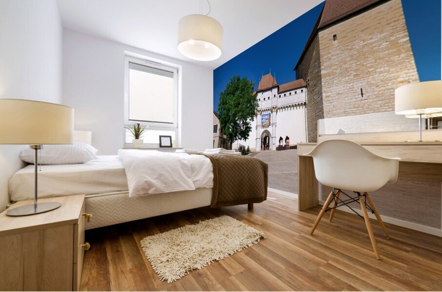 Visit to the castle in Annecy Haute Savoie France during a sun Mural print