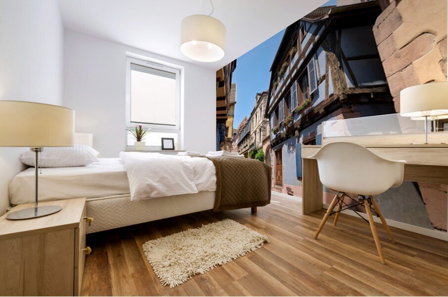 Visitors discover timber houses in Riquewihr Alsace Mural print