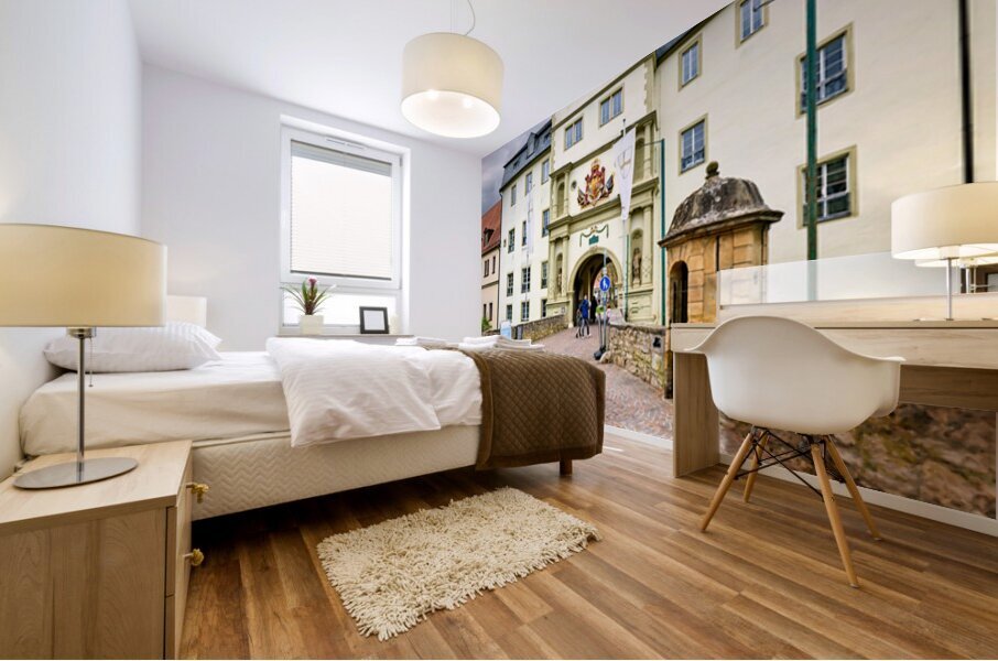 Visit deutschordensschloss castle on bavarias romantic road Mural print